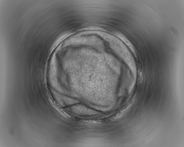 X0000110951002200907101303