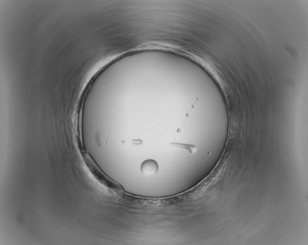 X0000110951003200907101303