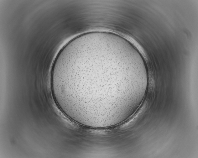 X0000110951004200907101303