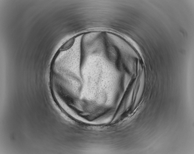 X0000110951005200907101303