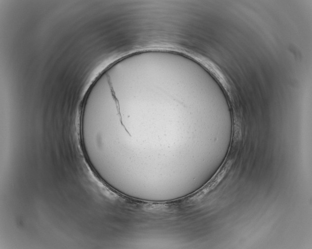 X0000110951006200907101303