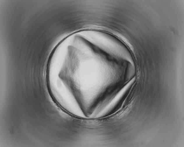 X0000110951007200907101303