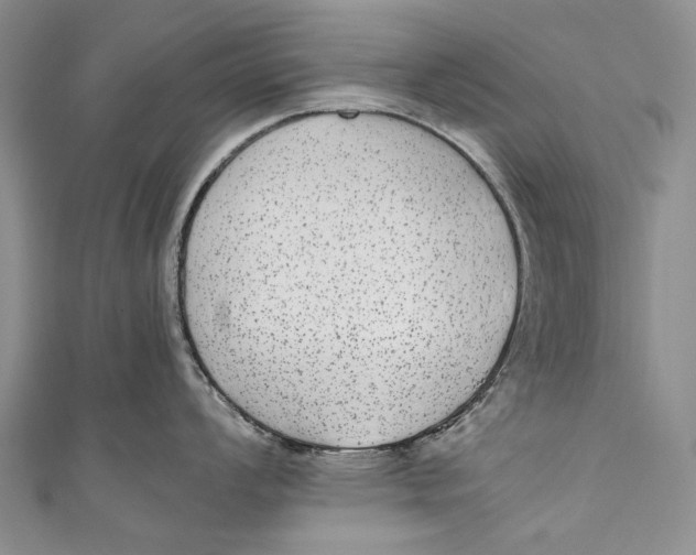 X0000110951008200907101303