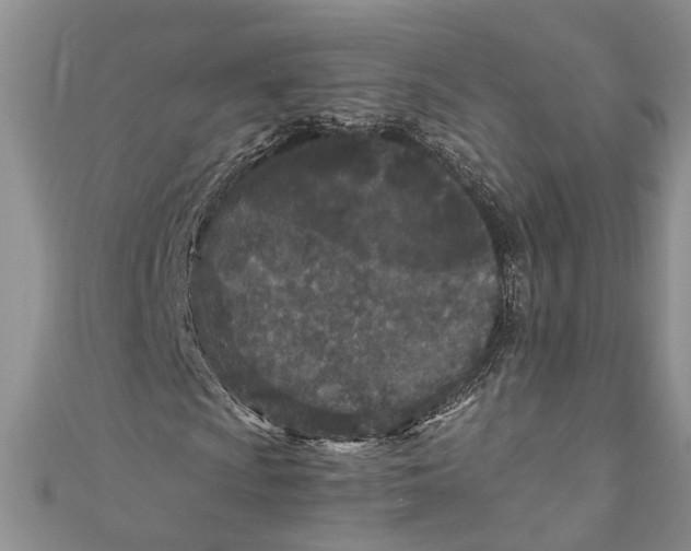 X0000110951009200907101303