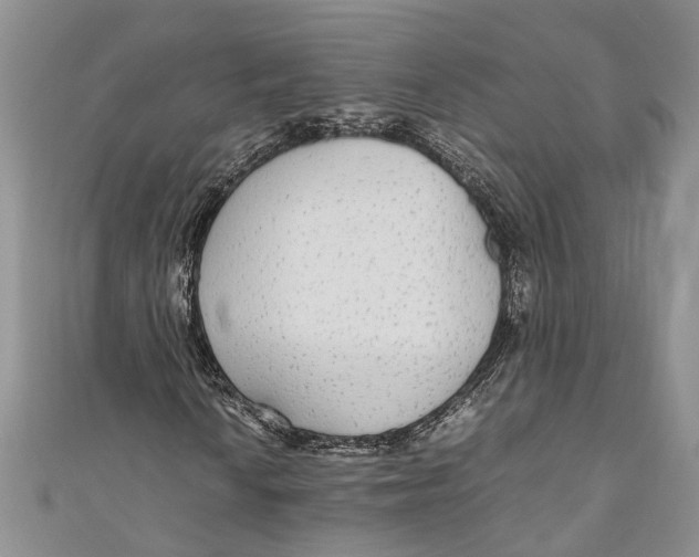 X0000110951010200907101303