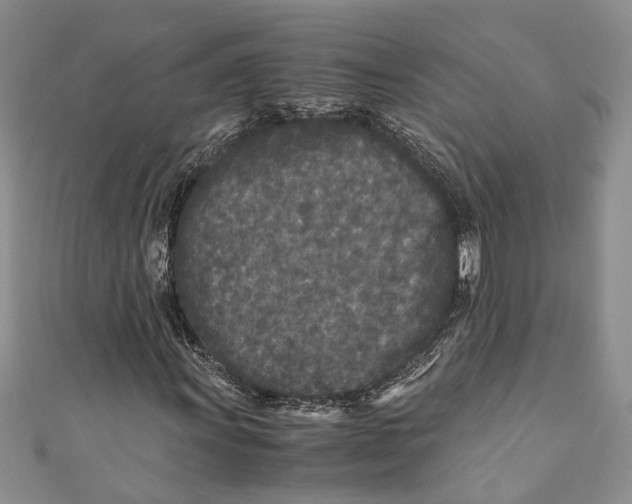 X0000110951011200907101303