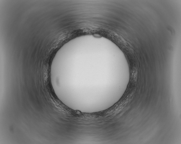 X0000110951012200907101303