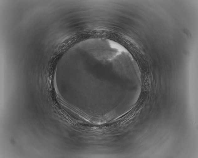 X0000110951013200907101303