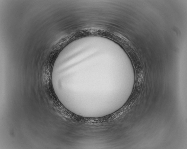 X0000110951014200907101303