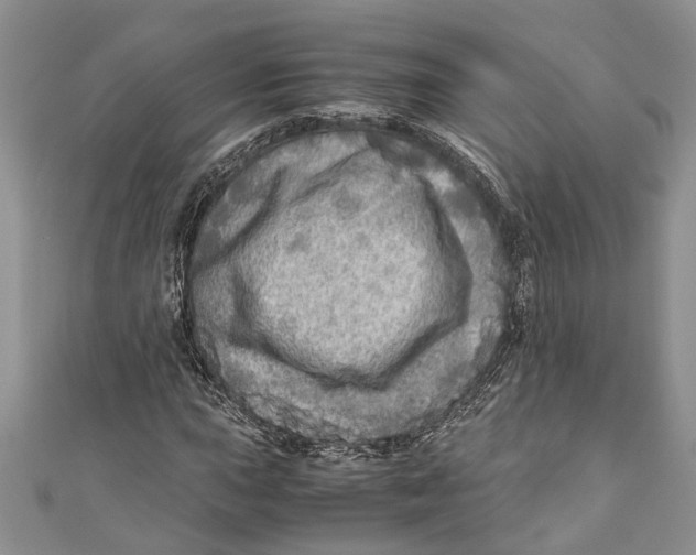 X0000110951015200907101303