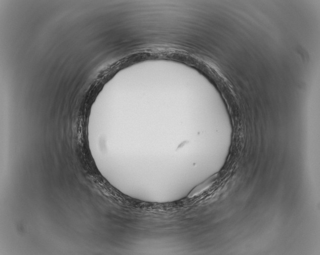 X0000110951016200907101303