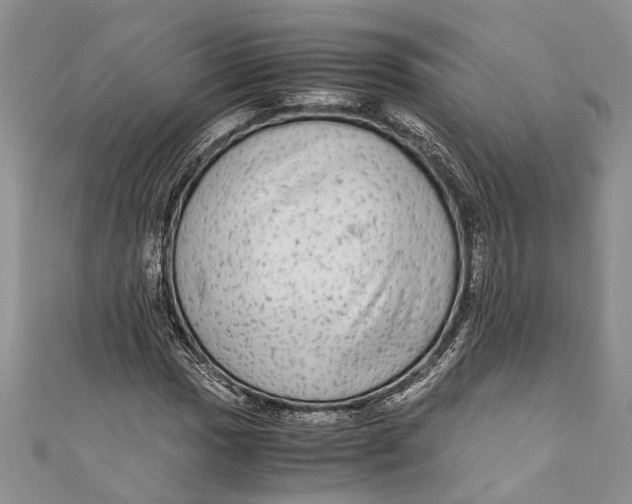 X0000110951017200907101303