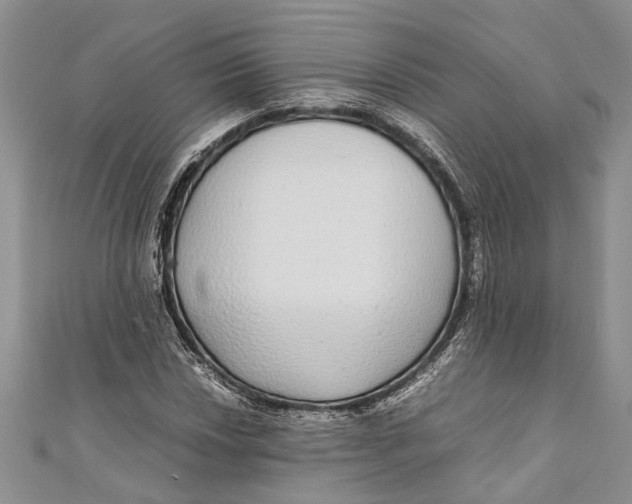 X0000110951018200907101303