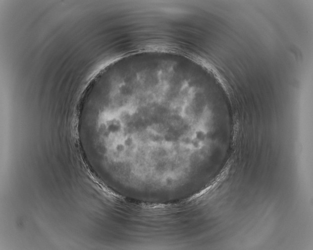 X0000110951019200907101303