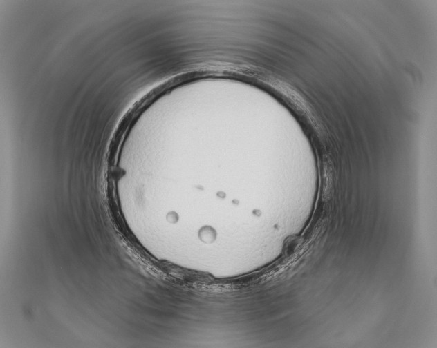 X0000110951020200907101303