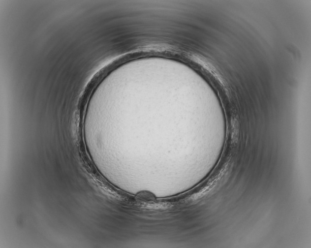 X0000110951021200907101303