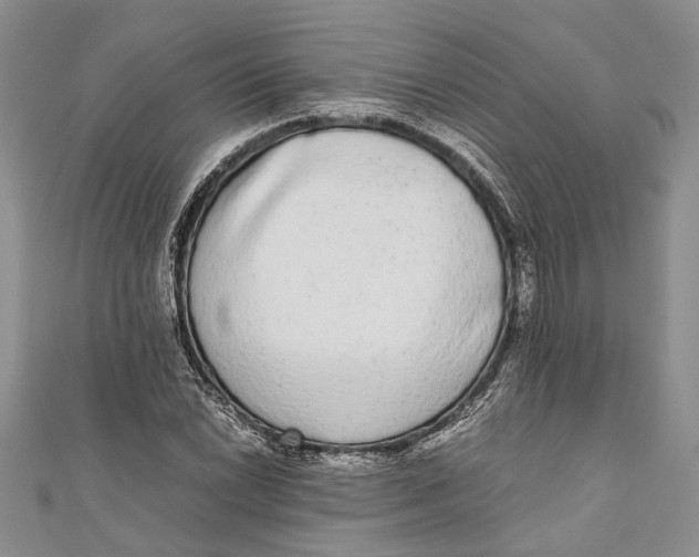 X0000110951022200907101303