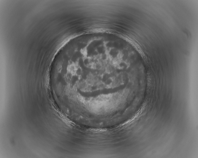 X0000110951023200907101303