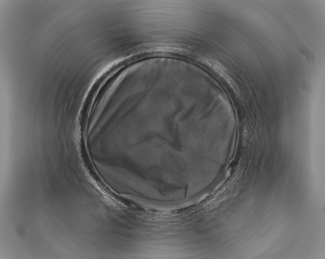 X0000110951024200907101303