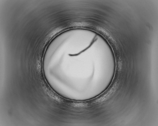 X0000110951025200907101303