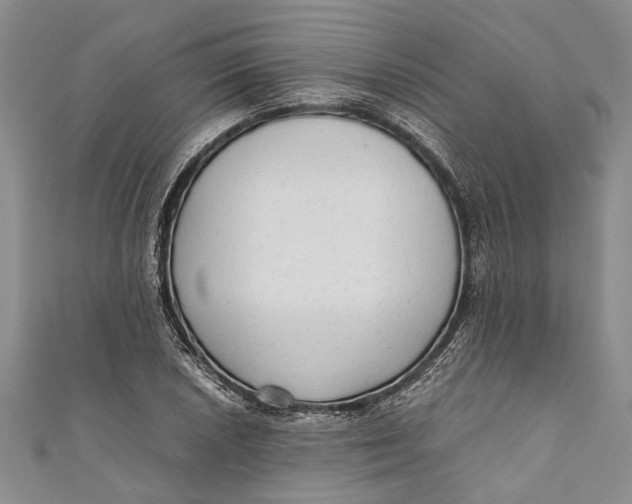 X0000110951026200907101303