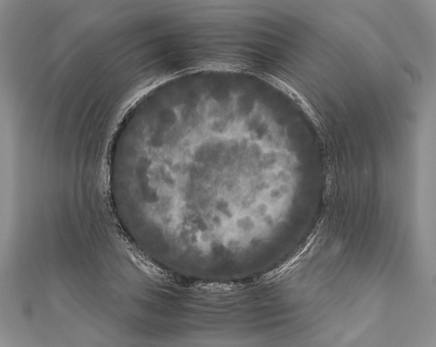 X0000110951027200907101303