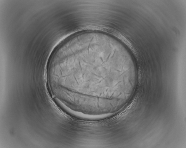 X0000110951028200907101303