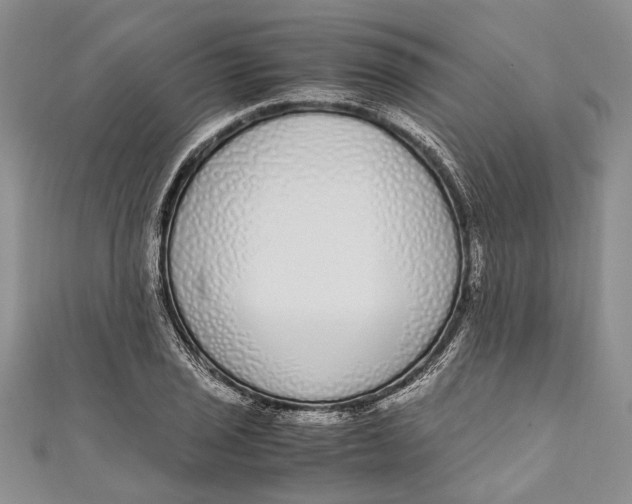 X0000110951029200907101303