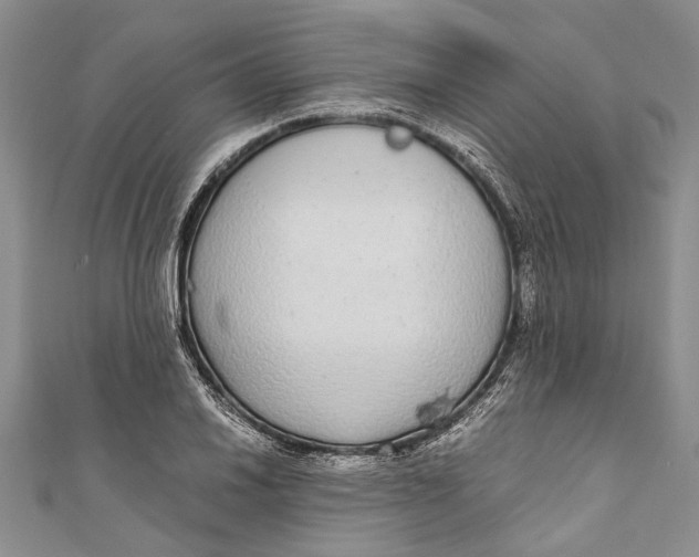 X0000110951030200907101303