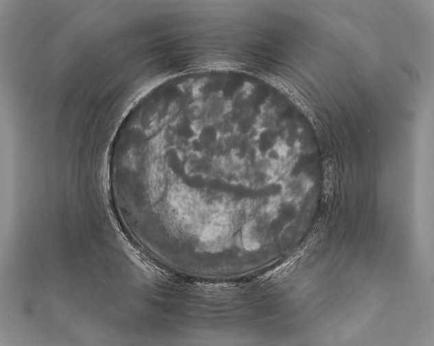 X0000110951031200907101303