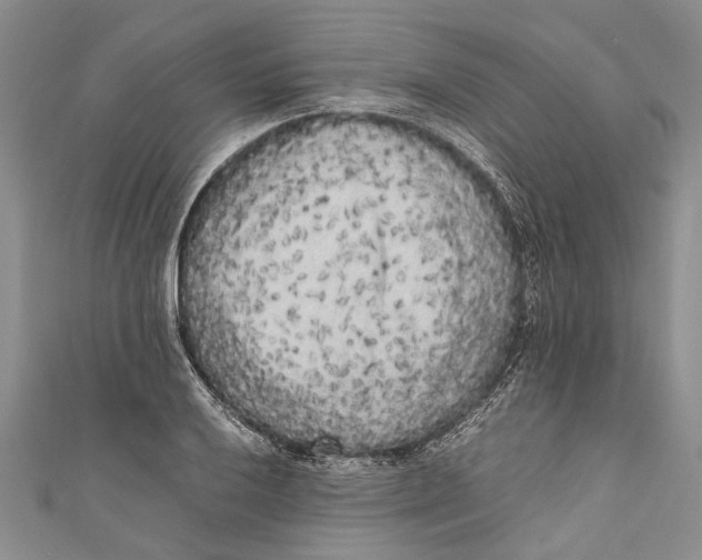 X0000110951032200907101303