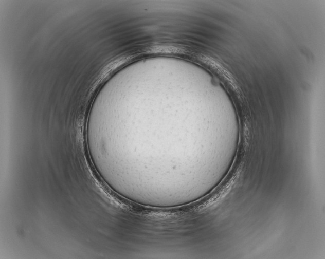 X0000110951033200907101303