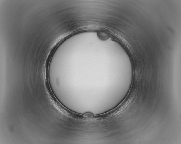 X0000110951034200907101303