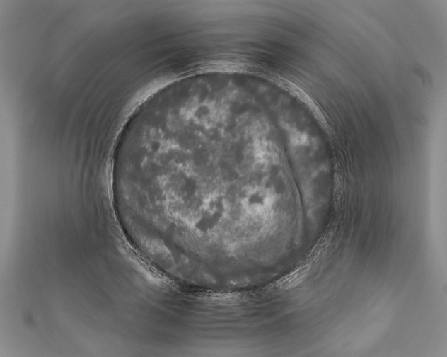 X0000110951035200907101303