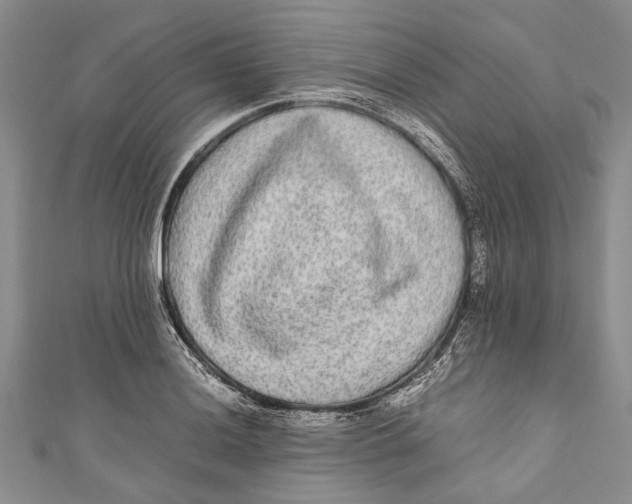 X0000110951036200907101303