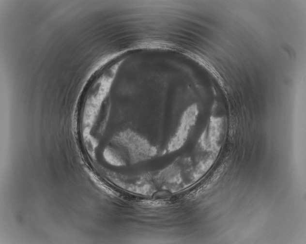 X0000110951037200907101303