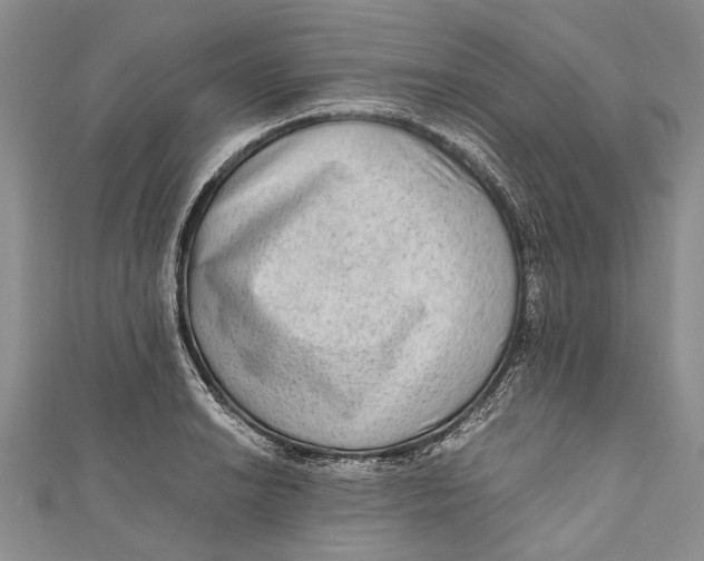 X0000110951038200907101303