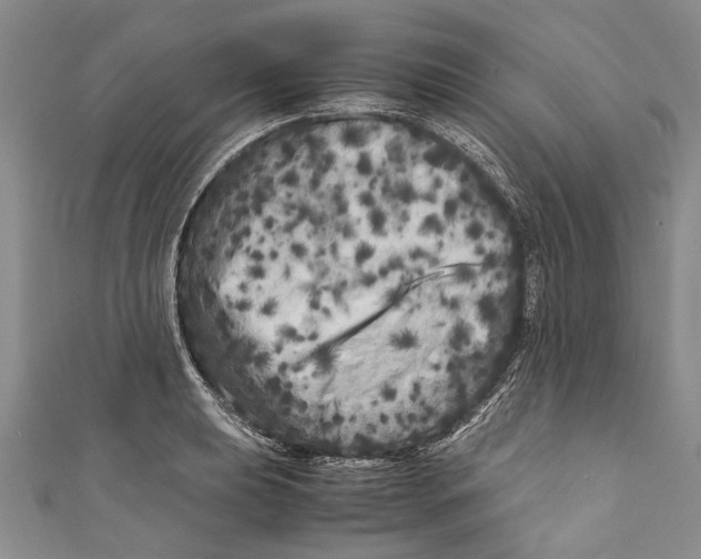 X0000110951039200907101303