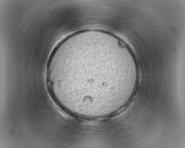 X0000110951040200907101303