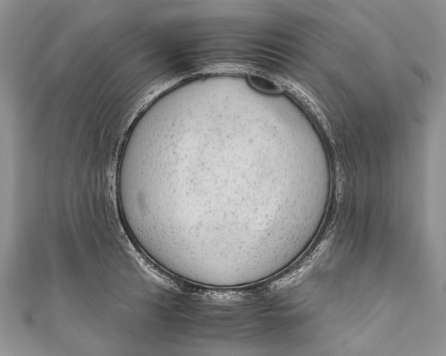 X0000110951041200907101303