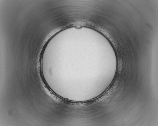 X0000110951042200907101303