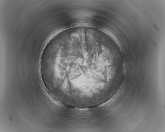 X0000110951043200907101303