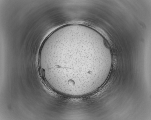 X0000110951044200907101303