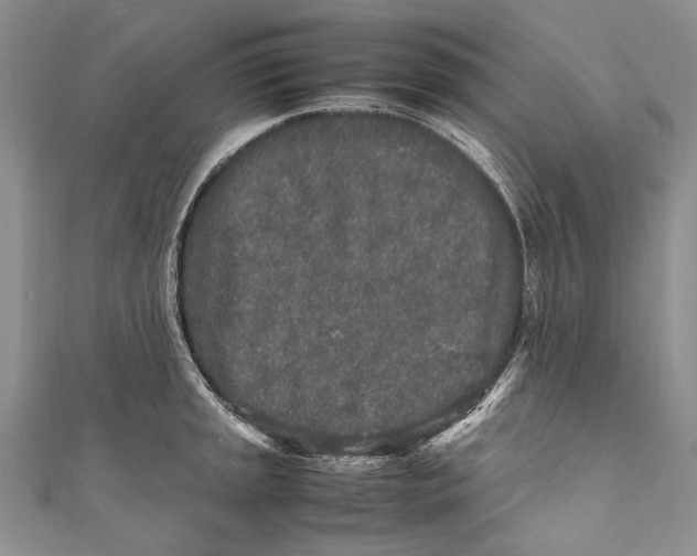 X0000110951045200907101303