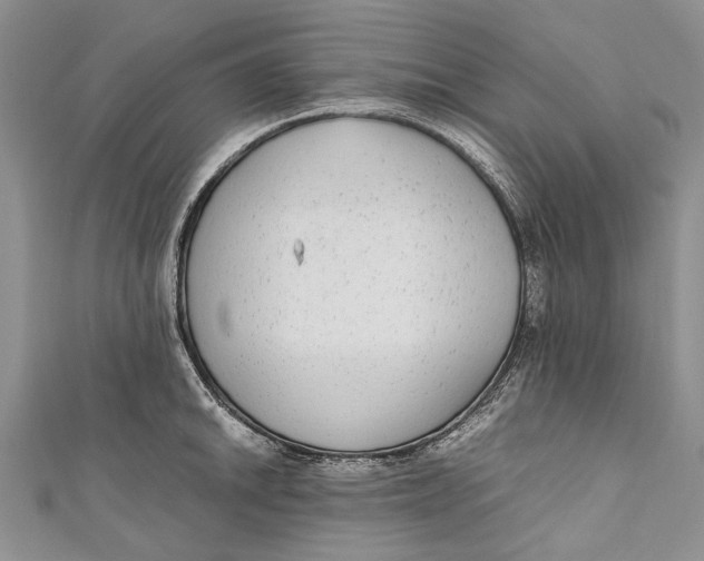 X0000110951046200907101303