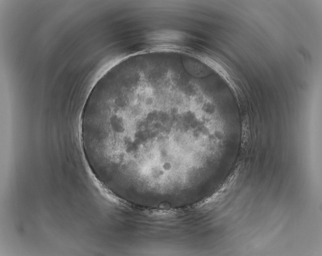 X0000110951047200907101303