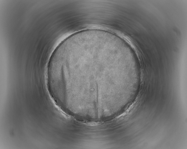 X0000110951048200907101303