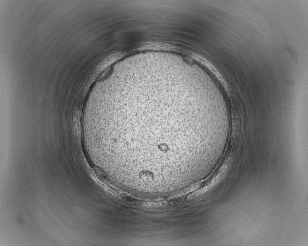 X0000110951049200907101303