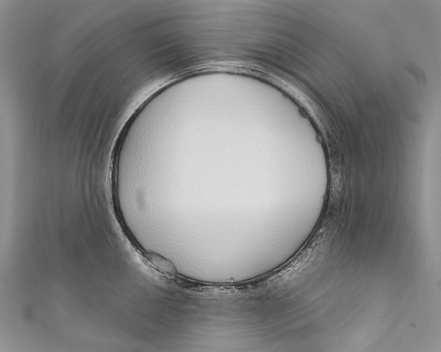 X0000110951050200907101303