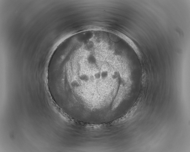 X0000110951051200907101303